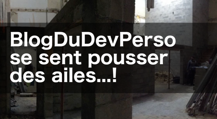 BlogDuDevPerso-se-sent-pousser-des-ailes