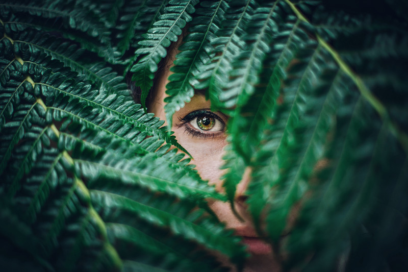 Vision